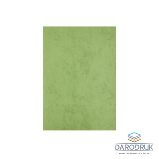 Beniamin Papier ozdobny (wizytówkowy) A4 CORINTHIAN GREEN kolor biały Beniamin (5176)