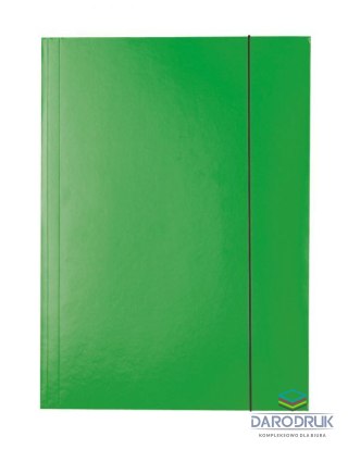 Esselte Teczka kartonowa na gumkę A4 zielony 400g Esselte (13437)
