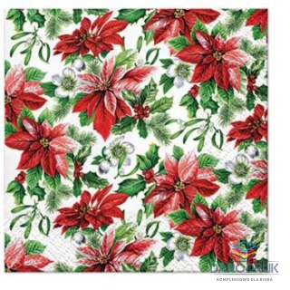Paw Serwetki Coktail BN Glory Poinsettia mix nadruk bibuła [mm:] 150x150 Paw (SDC231300)