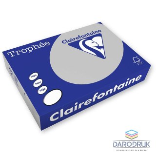 Trophee Papier kolorowy A4 kolorowy patelowy szary 250k. 160g Trophee (xca41009)
