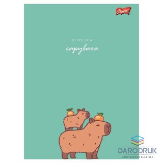 Unipap Zeszyt A5 Capy Style 16k. 70g krata Unipap