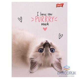 Unipap Zeszyt A5 PURRFECT MOMENTS 60k. 70g krata Unipap