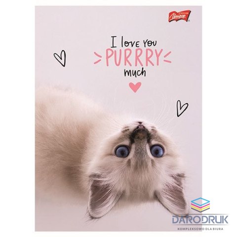 Unipap Zeszyt A5 PURRFECT MOMENTS 60k. 70g krata Unipap