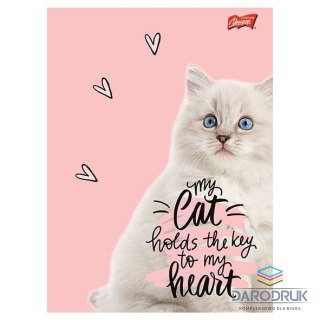 Unipap Zeszyt A5 PURRFECT MOMENTS 60k. 70g krata Unipap