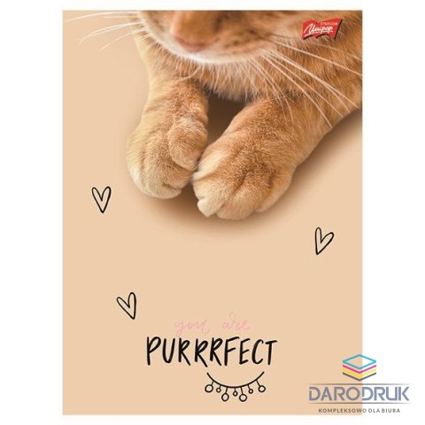 Unipap Zeszyt A5 PURRFECT MOMENTS 60k. 70g krata Unipap