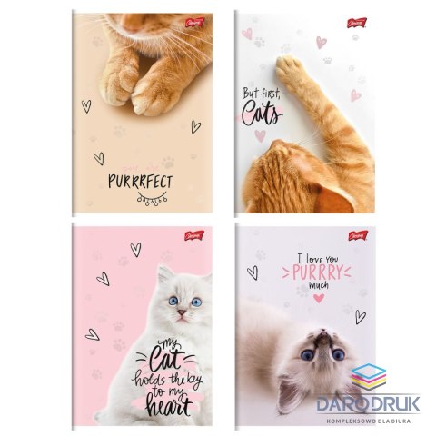 Unipap Zeszyt A5 PURRFECT MOMENTS 60k. 70g krata Unipap