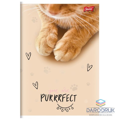 Unipap Zeszyt A5 PURRFECT MOMENTS 60k. 70g krata Unipap