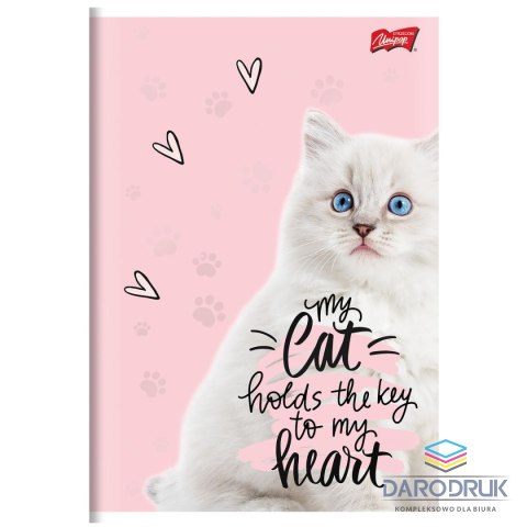 Unipap Zeszyt A5 PURRFECT MOMENTS 60k. 70g krata Unipap