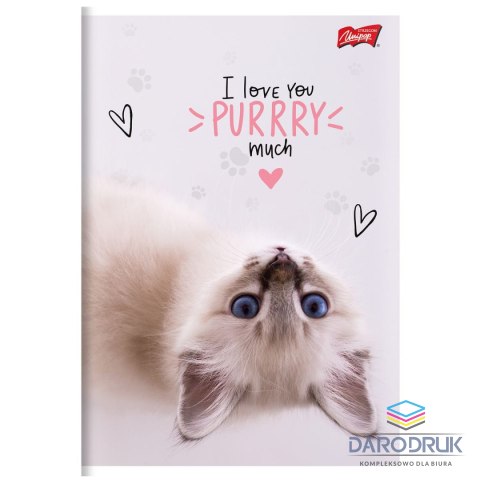 Unipap Zeszyt A5 PURRFECT MOMENTS 60k. 70g krata Unipap