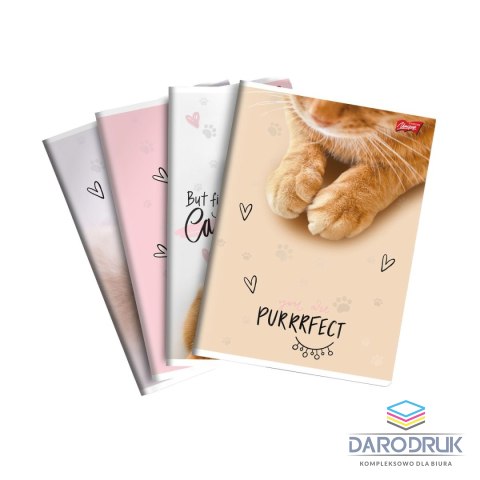 Unipap Zeszyt A5 PURRFECT MOMENTS 60k. 70g krata Unipap