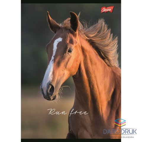 Unipap Zeszyt A5 Wild Heart 60k. 70g krata Unipap