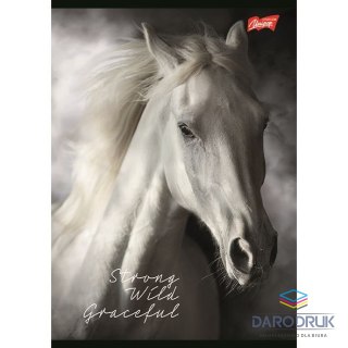 Unipap Zeszyt A5 Wild Heart 60k. 70g krata Unipap