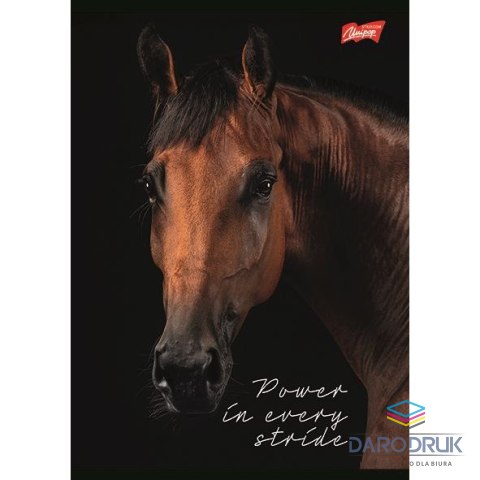 Unipap Zeszyt A5 Wild Heart 60k. 70g krata Unipap