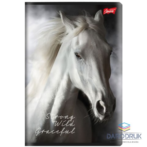 Unipap Zeszyt A5 Wild Heart 60k. 70g krata Unipap