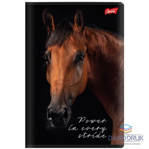 Unipap Zeszyt A5 Wild Heart 60k. 70g krata Unipap