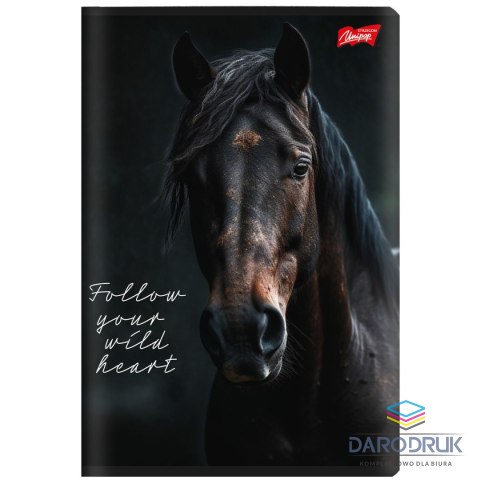 Unipap Zeszyt A5 Wild Heart 60k. 70g krata Unipap