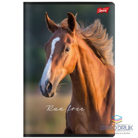 Unipap Zeszyt A5 Wild Heart 60k. 70g krata Unipap