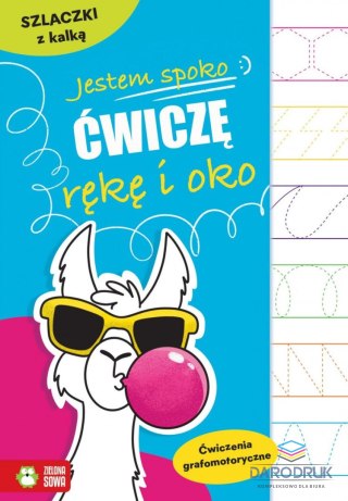 Zielona Sowa Książeczka edukacyjna Jestem spoko. Szlaczki z kalką Zielona Sowa