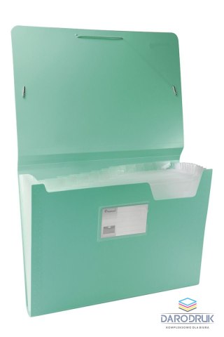 Titanum Teczka segregująca PP Titanum A4 z gumką 13 przegródek czarna (TPO12BC)