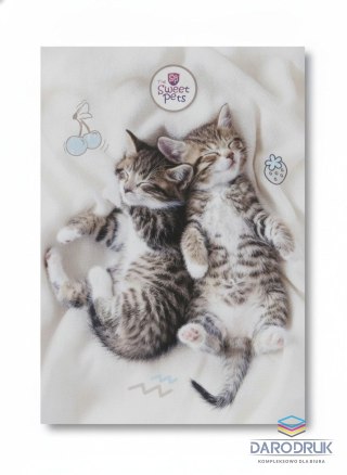 Beniamin Zeszyt A4 the sweet pets 60k. 70g krata Beniamin