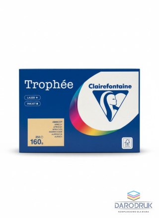 Trophee Papier kolorowy A4 kolorowy morelowy morelowy 250k. 160g Trophee (xca41011)