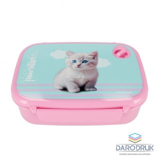 Starpak Śniadaniówka kitty Starpak (558657)