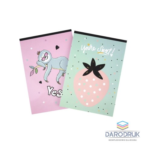 Rexus Notes (notatnik) A6 dziewczynka 30k. [mm:] 102x148 Rexus