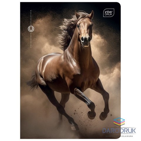 Interdruk Zeszyt A5 16k. 70g krata Interdruk (ZE16KFK)