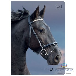 Interdruk Zeszyt A5 16k. 70g krata Interdruk (ZE16KFK)