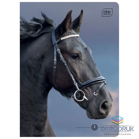 Interdruk Zeszyt A5 16k. 70g krata Interdruk (ZE16KFK)