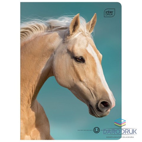 Interdruk Zeszyt A5 16k. 70g krata Interdruk (ZE16KFK)