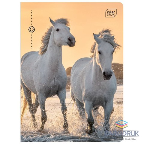 Interdruk Zeszyt A5 16k. 70g krata Interdruk (ZE16KFK)