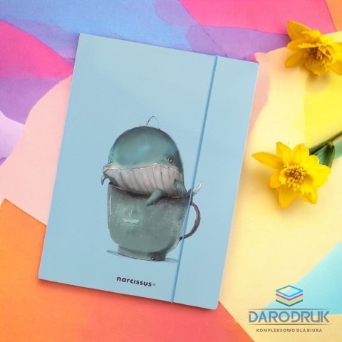 Narcissus Teczka kartonowa na gumkę wieloryb A4 różne 270g Narcissus