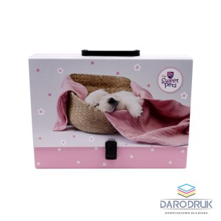 Beniamin Teczka kartonowa na klips The Sweet Pets pies A4+ mix Beniamin (5986)