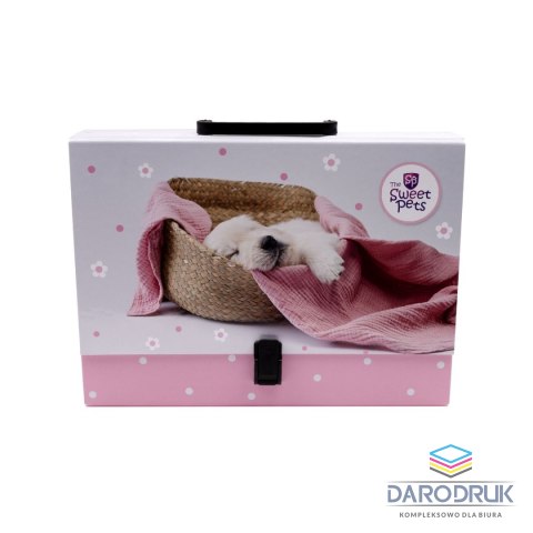 Beniamin Teczka kartonowa na klips The Sweet Pets pies A4+ mix Beniamin (5986)