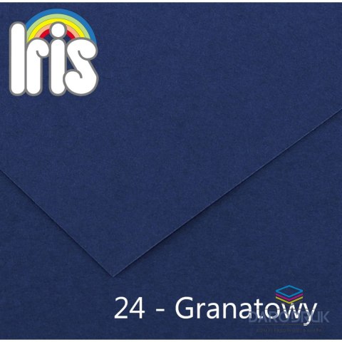 Canson Brystol Iris 24 A4 granatowy 120g 100k Canson (200040023)