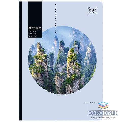 Interdruk Zeszyt A5 80k. 70g krata Interdruk (ZE80KF#)