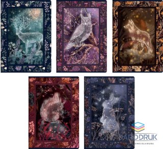 Top 2000 Zeszyt A4 FAIRYTALE 60k. 70g krata Top 2000 (400181618)