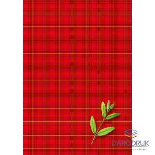 Kreska Brulion B5 200k. krata Kreska