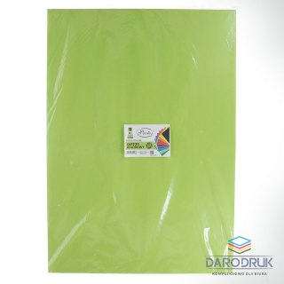 Protos Brystol A1 czerwony 225g 10k Protos