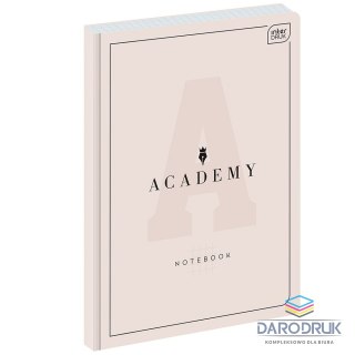Interdruk Brulion A5 ACADEMY 96k. 90g krata Interdruk (BRA4#ACADEP)
