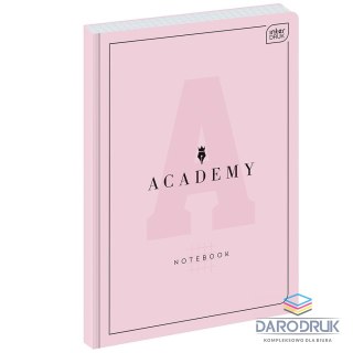 Interdruk Brulion A5 ACADEMY 96k. 90g krata Interdruk (BRA4#ACADEP)