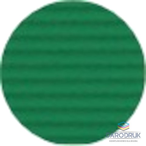 Oxford Kołobrulion A5 Essentials 90k. 90g krata [mm:] 148x210 Oxford (100102938)