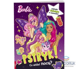 Ameet Książka dla dzieci Barbie™. Pstryk! Co widać nocą? Ameet (GLO 1401)