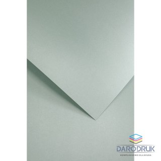 Galeria Papieru Papier ozdobny (wizytówkowy) A4 mika szary SZARY 240g Galeria Papieru (202719)