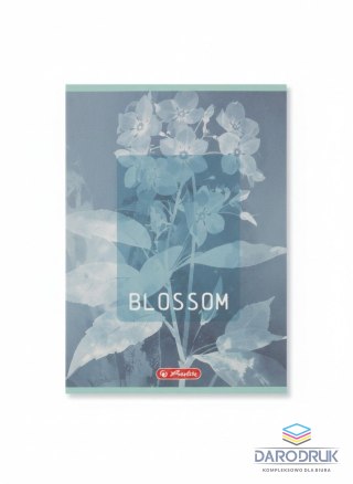 Herlitz Zeszyt A5 Blossom 60k. 70g kratka Herlitz (400206384)