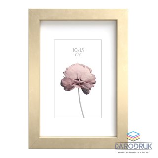 Styler Ramka PRAGUE PC [mm:] 100x150 Styler