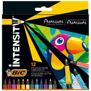 Bic Flamaster flamstry 12 kol. Bic (977891)