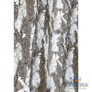Kreska Brulion A4 200k. krata Kreska
