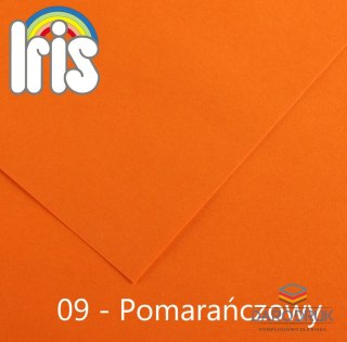 Canson Brystol Iris 09 A3 pomarańczowy 185g 50k [mm:] 297x420 Canson (200040188)